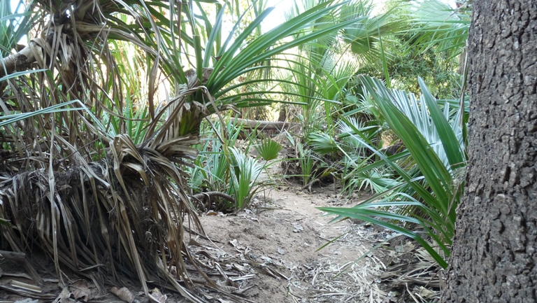 Wandern im Lawn Hill NP